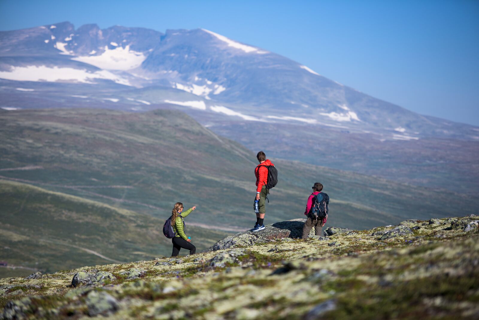 Fottur over Dovrefjell | Hike along the Pilegrim`s Path | Discover Norway, Miniferie med fottur over Dovrefjell