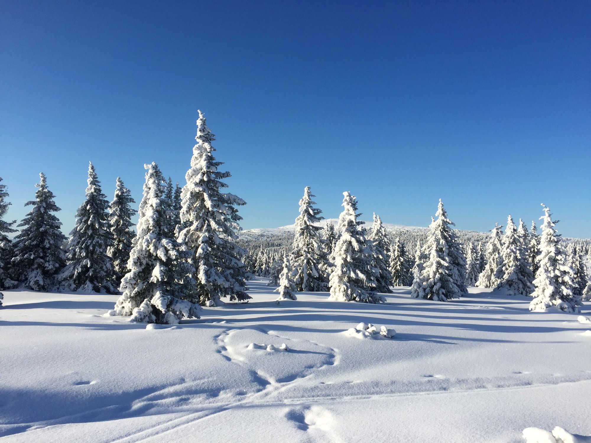 Skitur sør i Trolløypa | Ski tour in the south part of the Troll Trail | Discover Norway