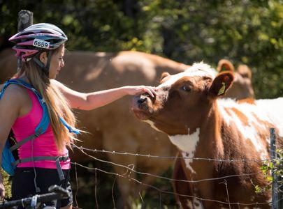 Touching the mountain summer farming | Sykkeltur i Gol og Valdres | Miniferie i Golsfjellet og Valdres | Discover Norway