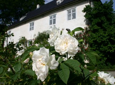 Sykkeltur i Hardanger | Bike tour around the Hardanger Fjord | Discover Norway