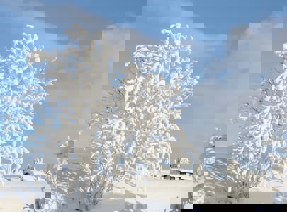 Skitur sør i Trolløypa | Ski tour in the south part of the Troll Trail | Discover Norway